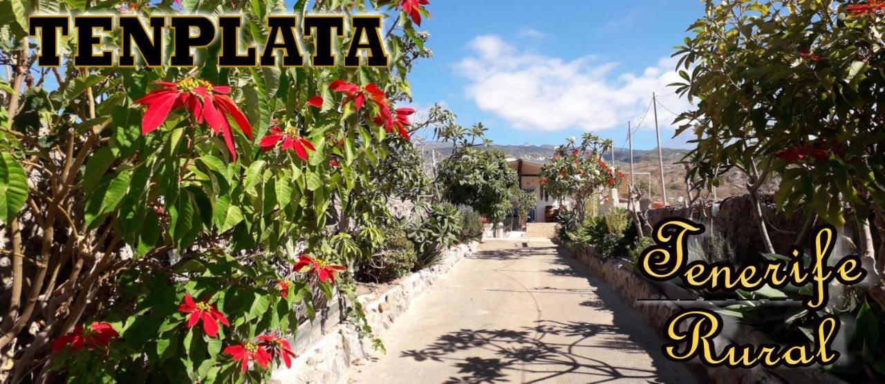 Tenplata Tijoco de Abajo Dış mekan fotoğraf