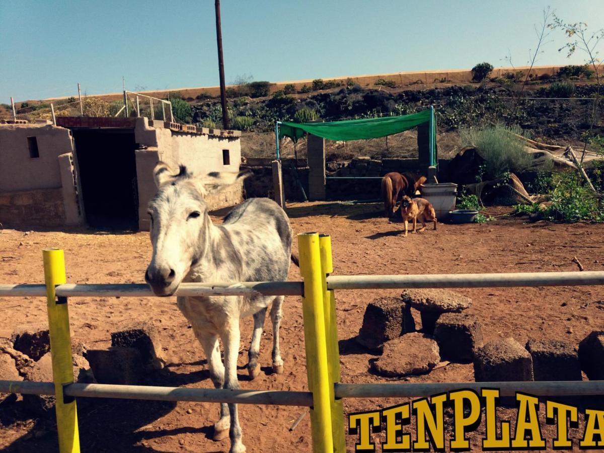 Tenplata Tijoco de Abajo Dış mekan fotoğraf